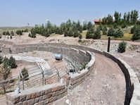 سافاری پارک